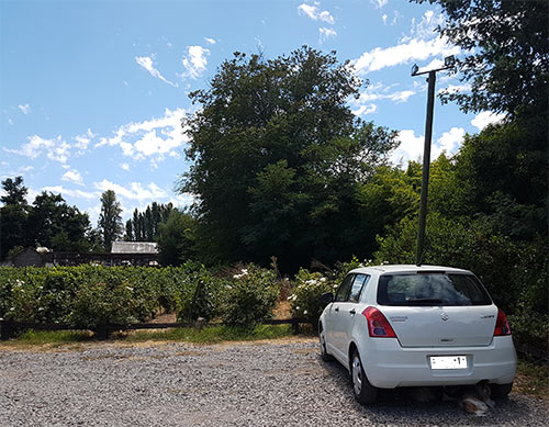 Alquilar autos en Santiago para recorrer viñas - Foto de AHM Viña Casa Silva Colchagua Chile