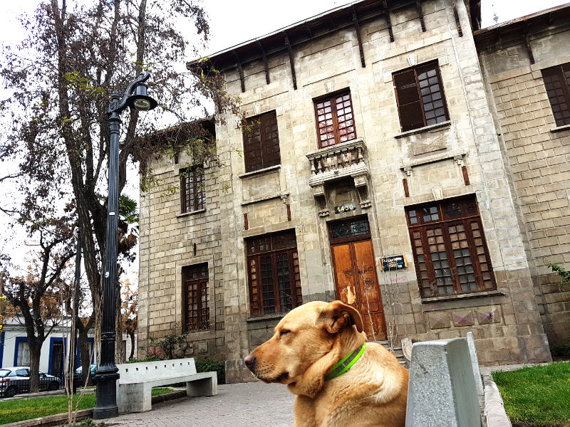 Edificio del Teatro Huemul en el Barrio Franklin y un perro descansando en una banca - Foto de Andrea Hoare Madrid