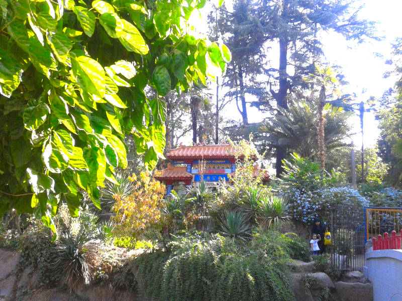 Jardín Chino y vegetación del Parque O'Higgins de Santiago - Foto de Andrea Hoare Madrid