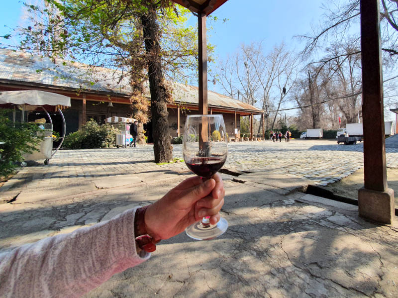 Mano con copa de vino tinto dentro de la Viña Cousiño Macul durante el Día del Vino - Foto de Andrea Hoare Madrid